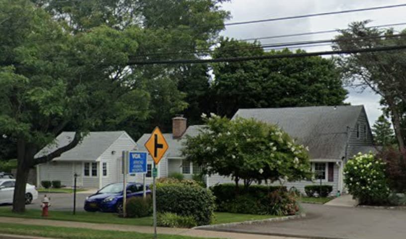 Jericho Animal Hospital
