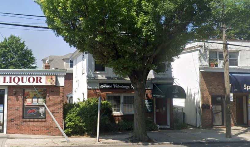 Feline Veterinary Hospital
