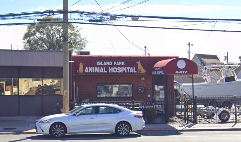 Island Park Animal Hospital