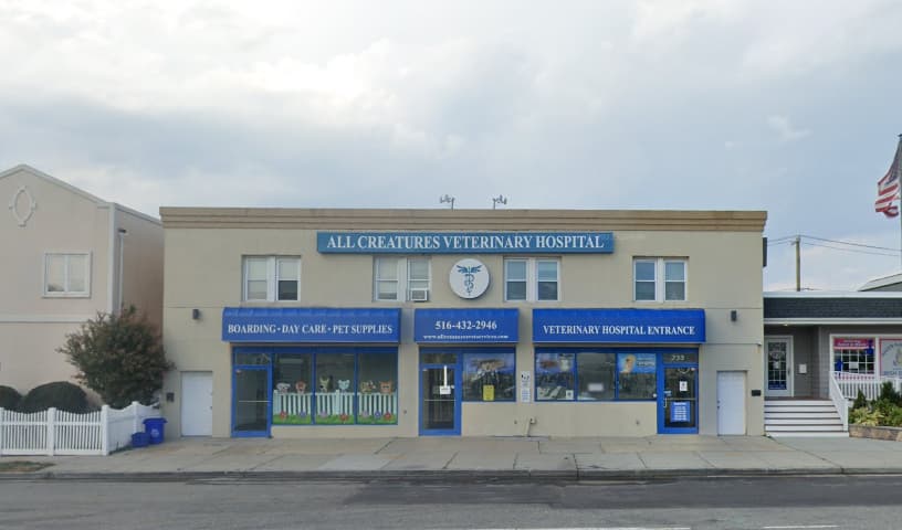 All Creatures Veterinary Services