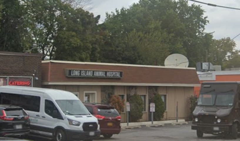 Long Island Animal Hospital