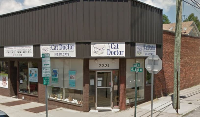 The Cat Doctor