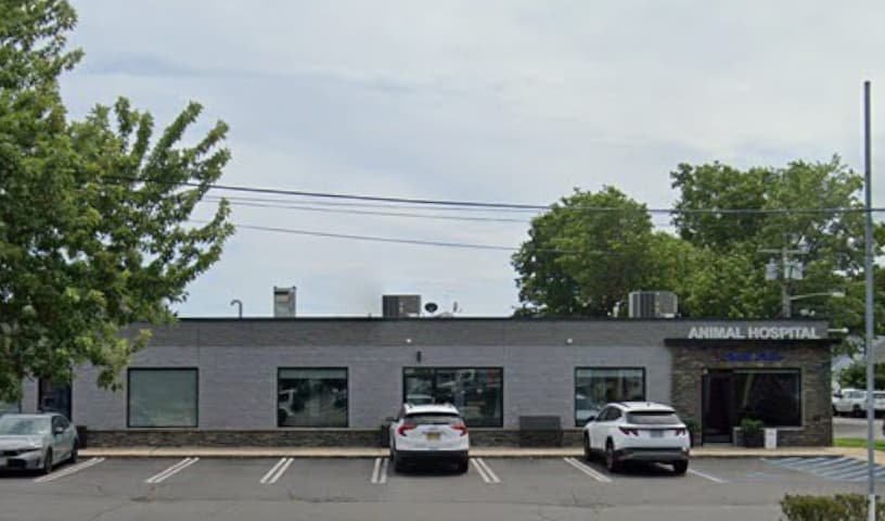 South Shore Animal Hospital, A PetOne Veterinary Hospital