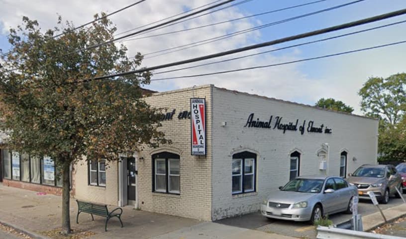 Animal Hospital of Elmont