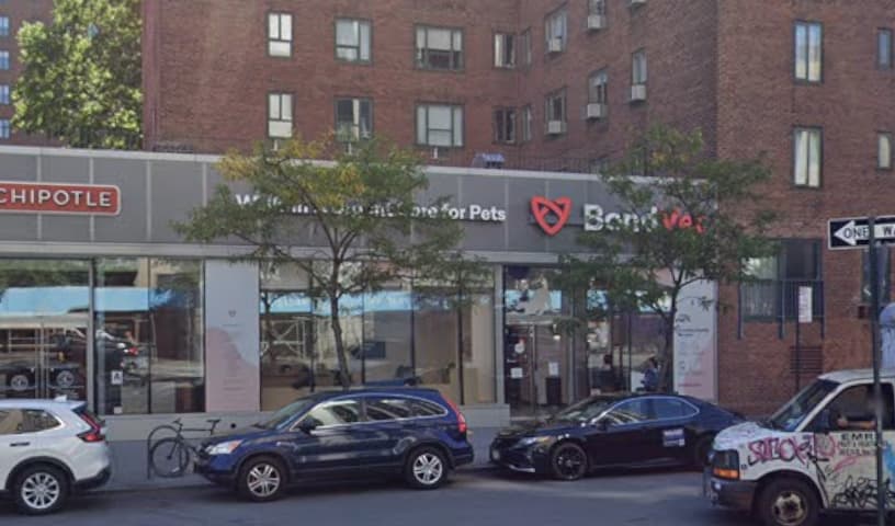Bond Vet - East Village