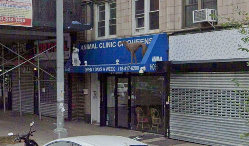 Animal Clinic of Queens
