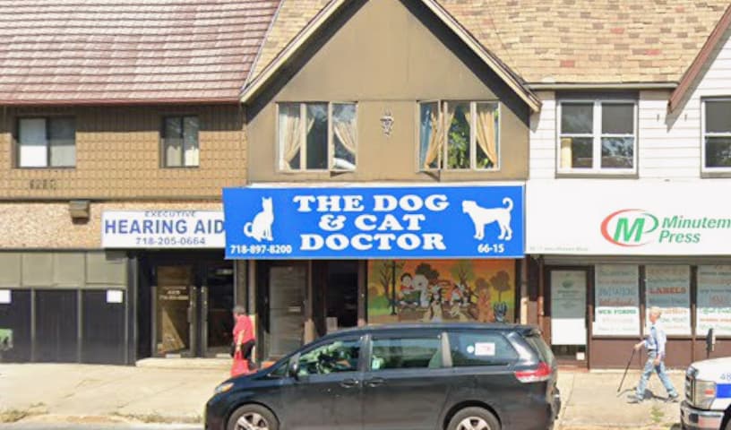 The Dog & Cat Doctor