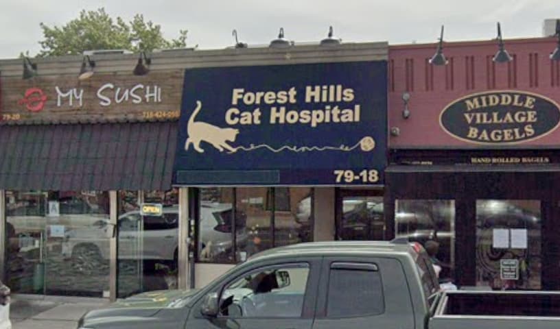 Forest Hills Cat Hospital