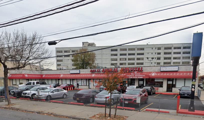 Bay Street Animal Hospital