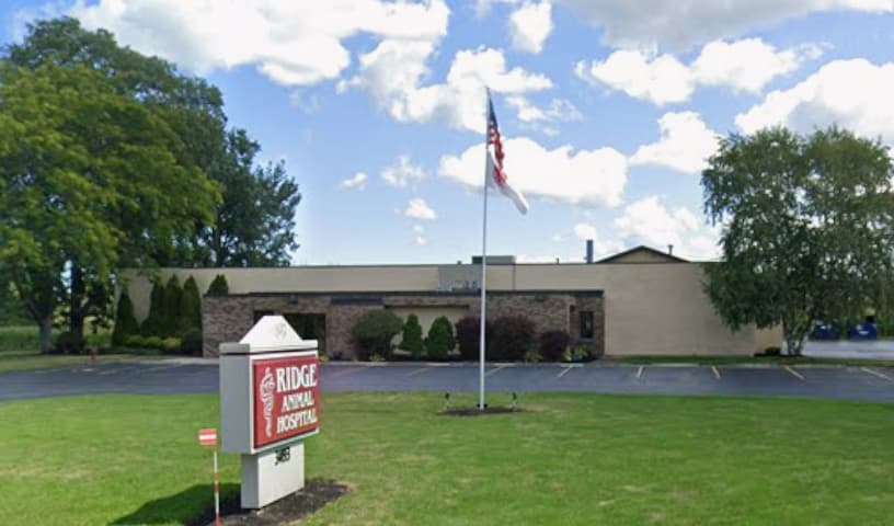 Ridge Animal Hospital