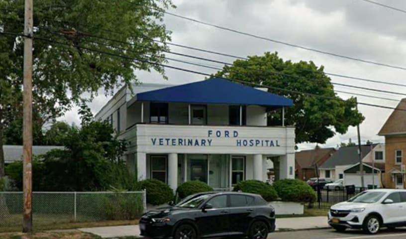 Ford Veterinary Associates PC