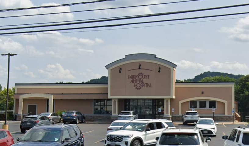 VCA Fairmount Animal Hospital