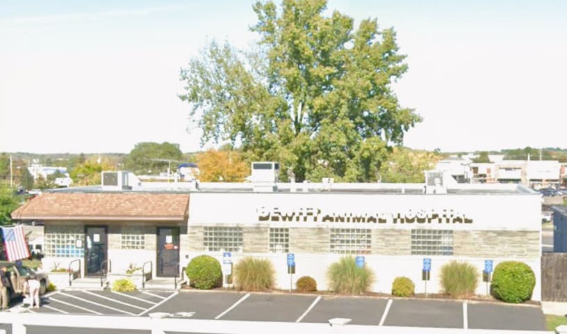 DeWitt Animal Hospital