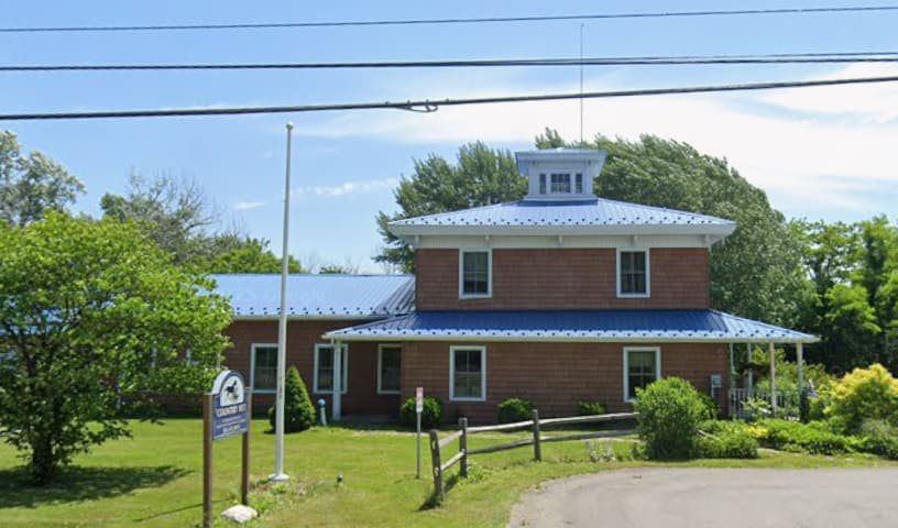 The Country Vet