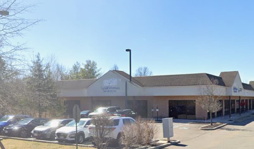 Catskill Veterinary Services, PLLC