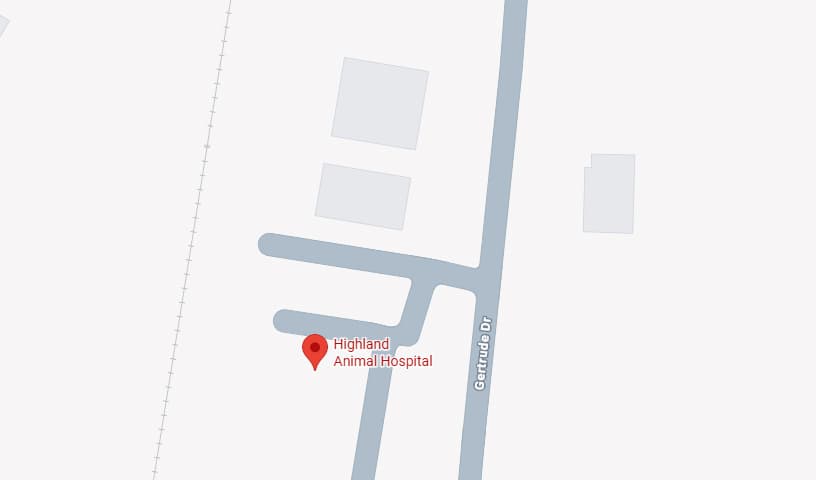 Highland Animal Hospital
