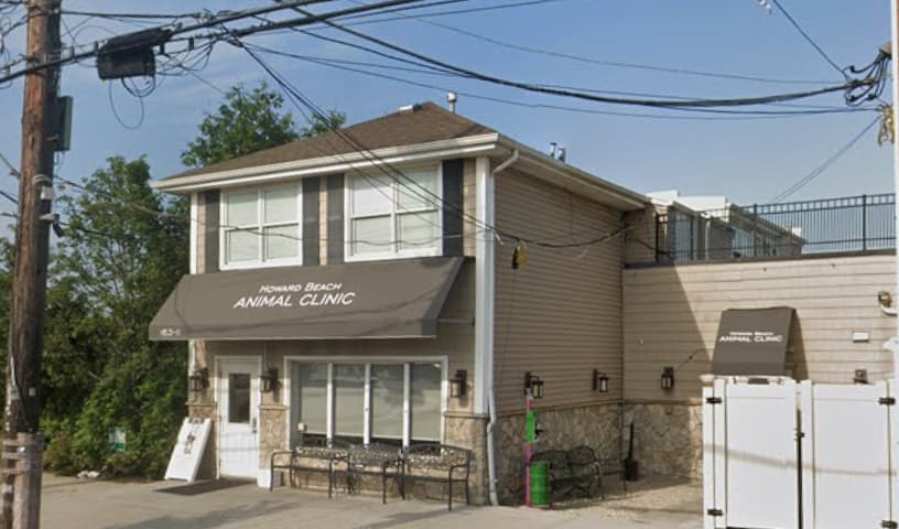 Antelyes Animal Hospital