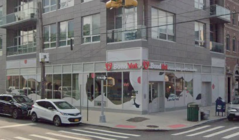 Bond Vet - Long Island City
