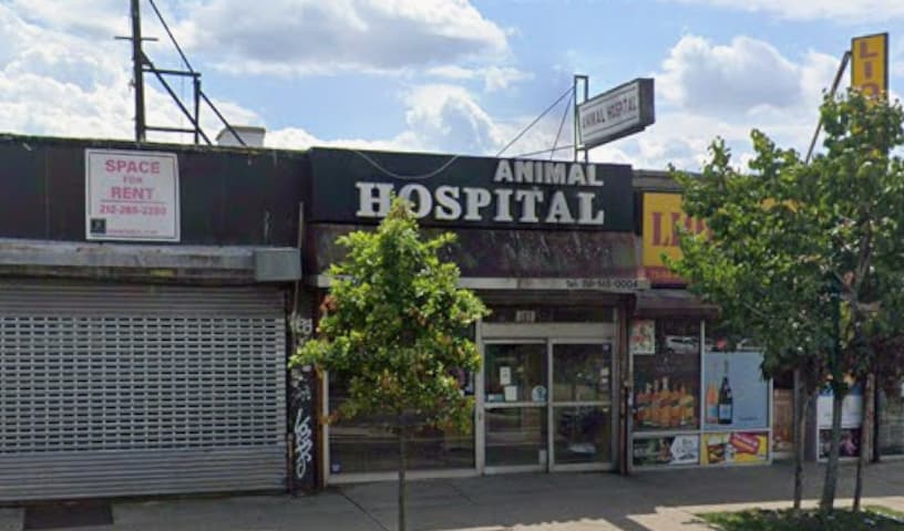 St Mark Animal Clinic / Jackson Heights Animal Clinic