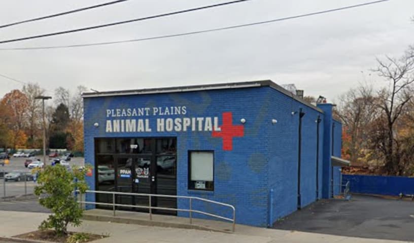 Pleasant Plains Animal Hospital North