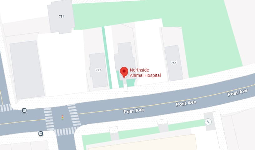 Northside Animal Hospital