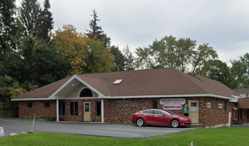 Hernas Veterinary Clinic