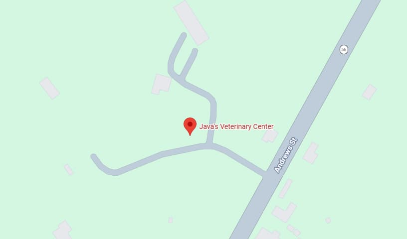 Java's Veterinary Center