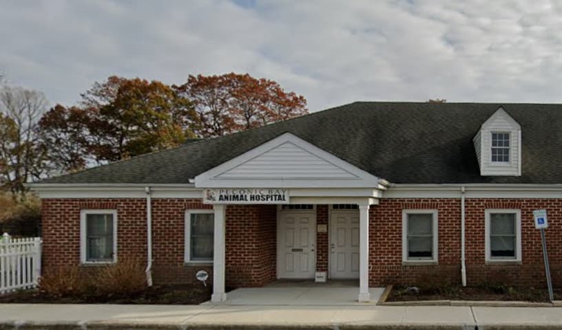 Peconic Bay Animal Hospital