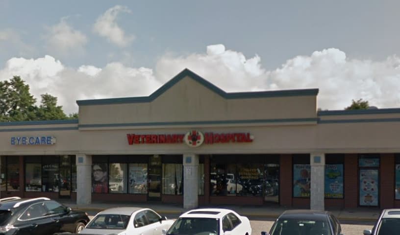 Island Veterinary Hospital