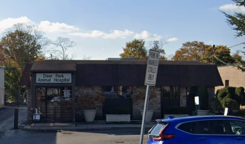 Deer Park Animal Hospital