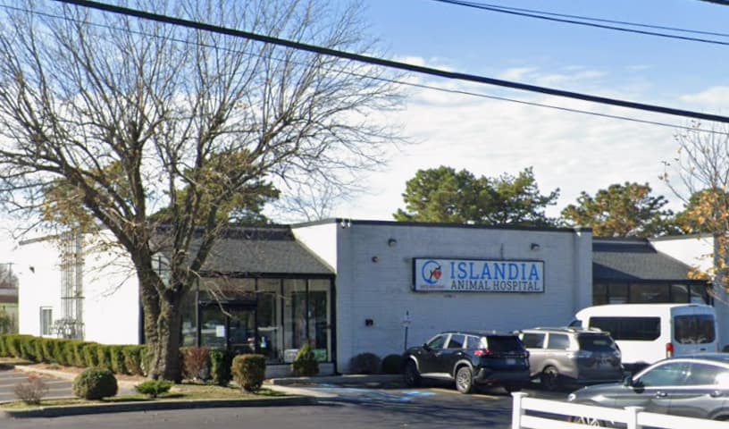 Islandia Animal Hospital
