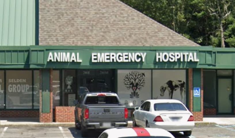 Animal Emergency Service