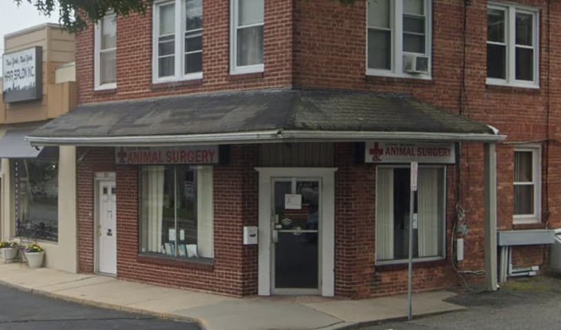 Long Island Animal Surgery