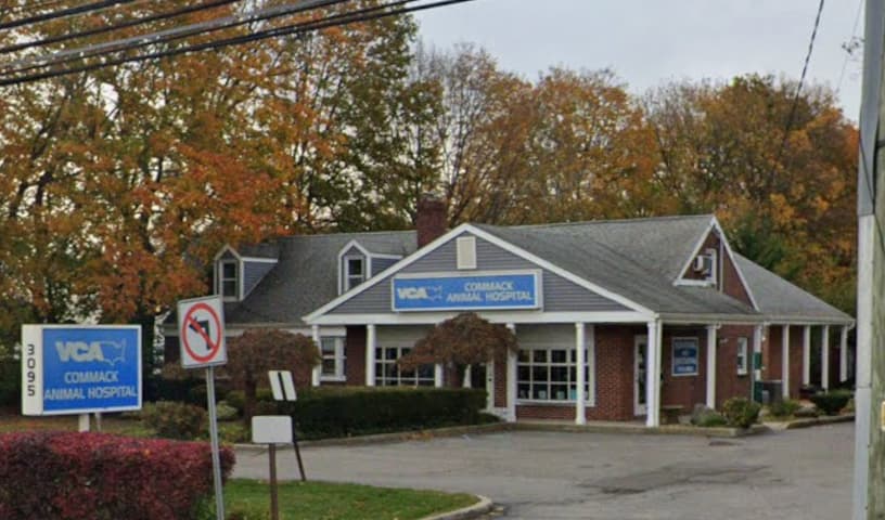 Commack Animal Hospital