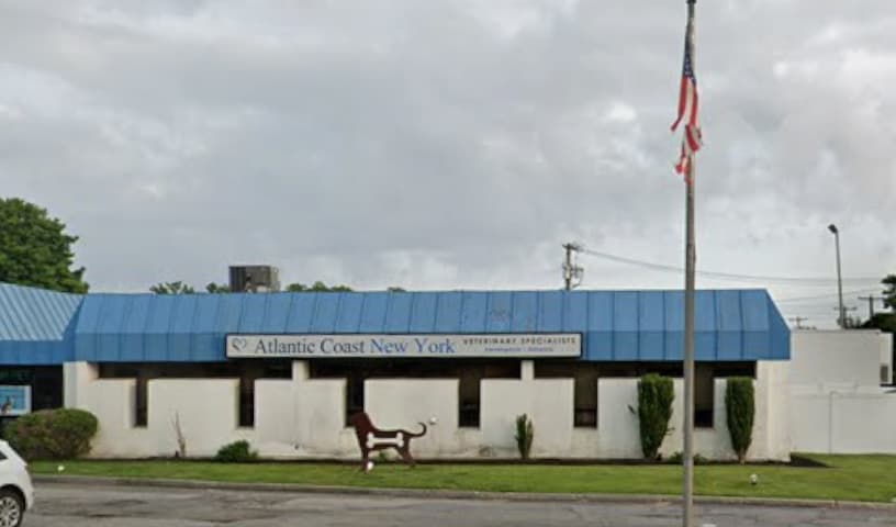 Atlantic Coast New York Veterinary Specialists