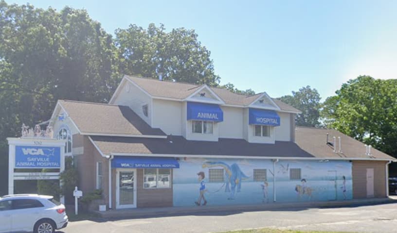 Sayville Animal Hospital