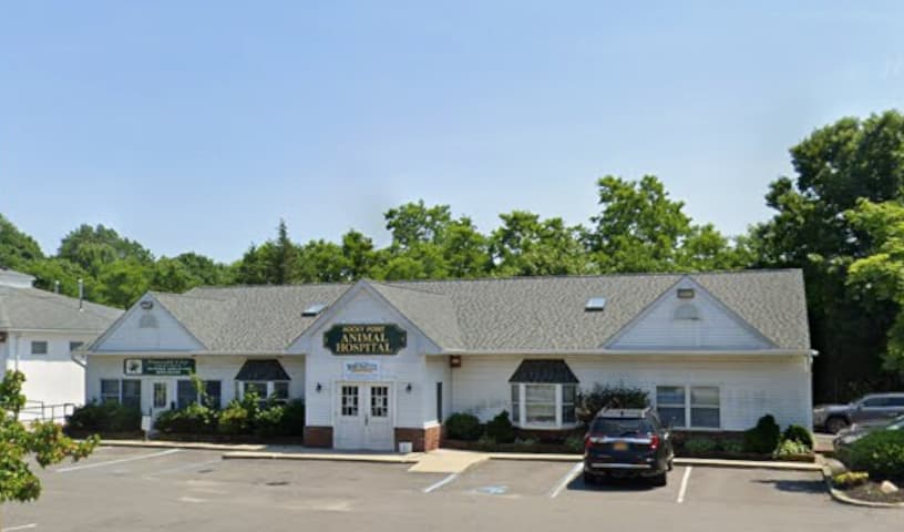 Rocky Point Animal Hospital