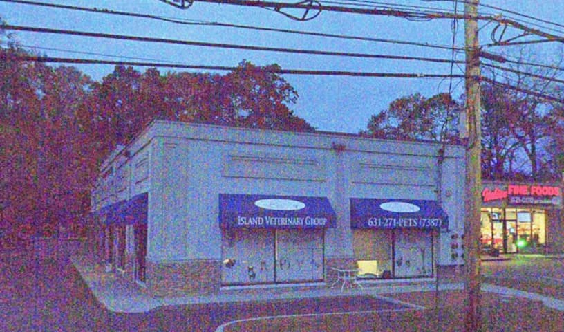 Island Veterinary Group