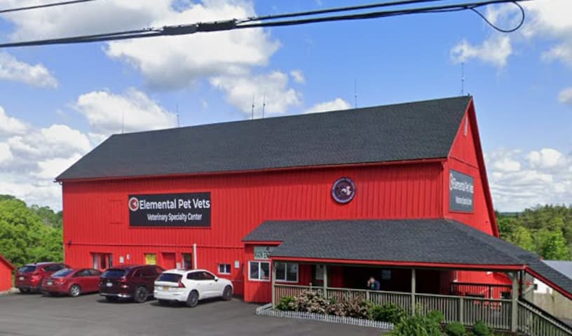 Elemental Pet Vets