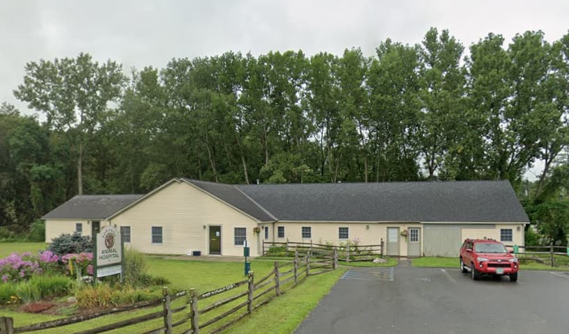 Borador Animal Hospital