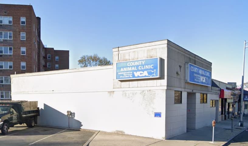 VCA County Animal Hospital