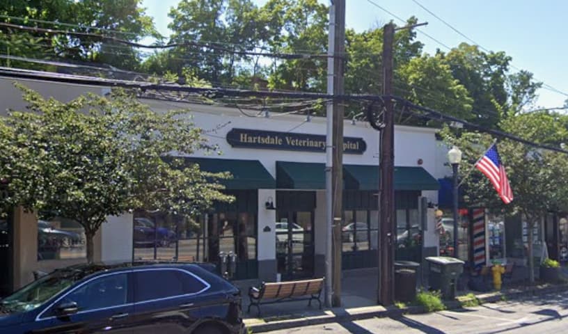 Hartsdale Veterinary Hospital