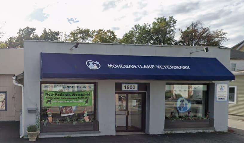 Mohegan Lake Veterinary Hospital