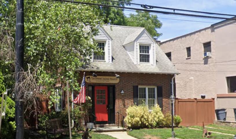 Larchmont Animal Hospital