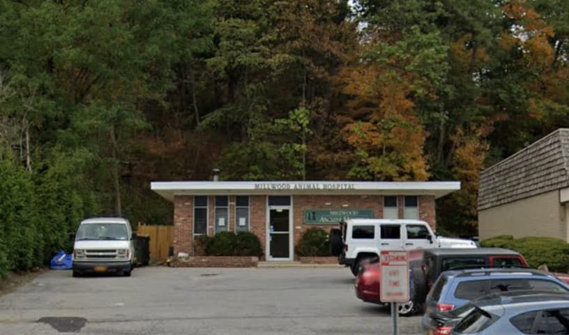 Millwood Animal Hospital