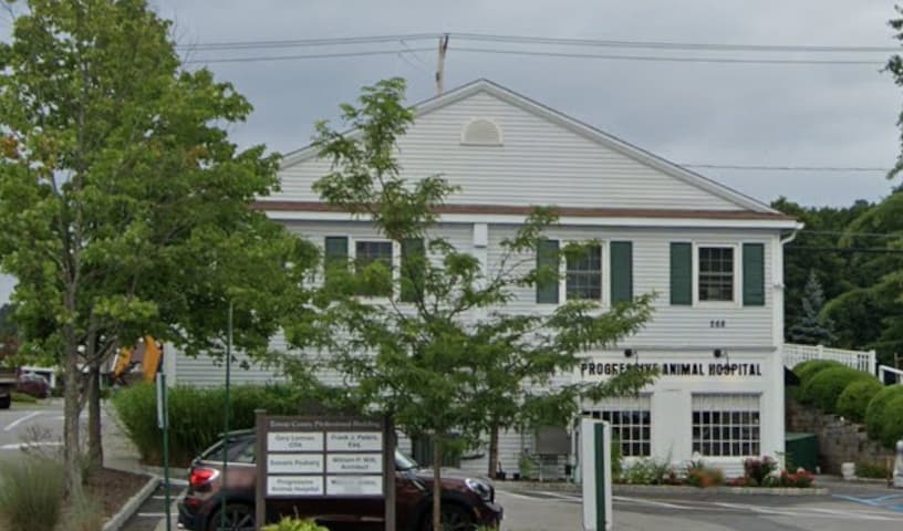 Progressive Animal Hospital