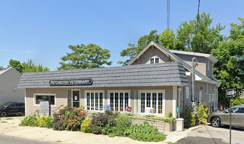 Petchester Veterinary