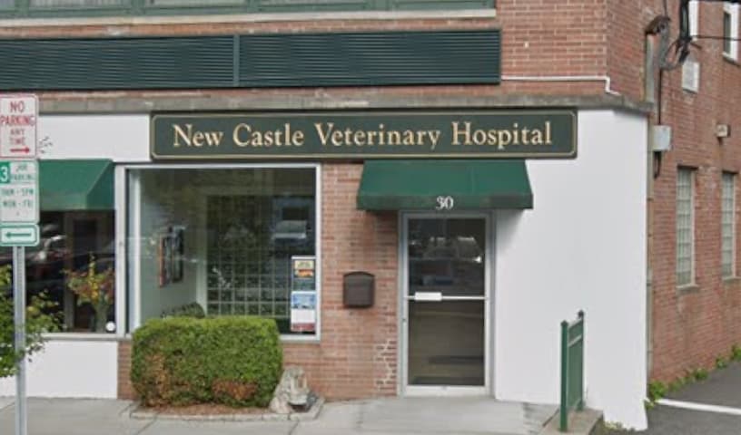 New Castle Veterinary Hospital