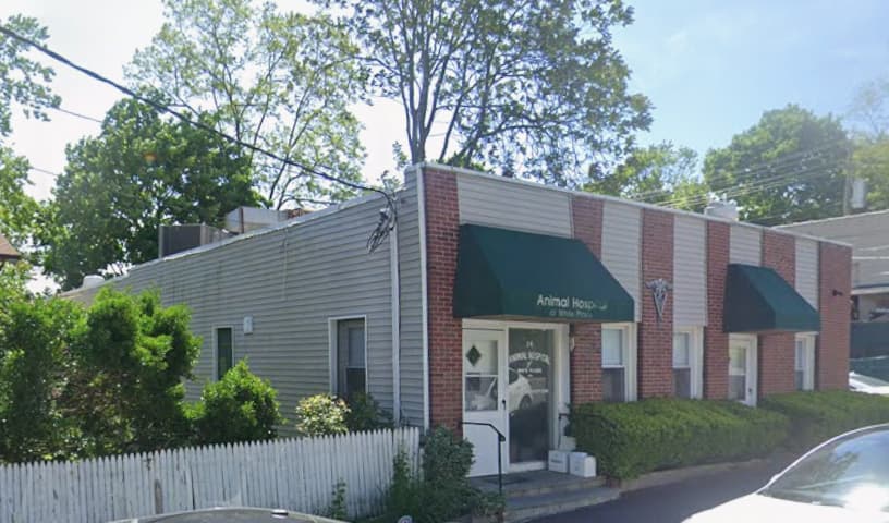 Animal Hospital of White Plains