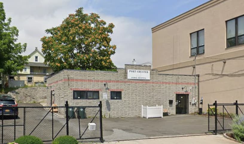 Port Chester Animal Hospital